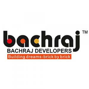 Developer