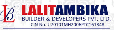 Developer