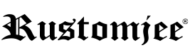 Developer